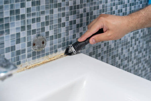 Best Emergency Mold Remediation in Lakeshire, MO